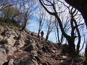 In Canto Alto (1146 m) da Ripa-Zogno ad anello fiorito il 10 aprile 2025 - FOTOGALLERY